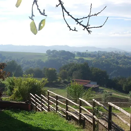 Tenuta San Savino Delle Rocchette Poggiolo