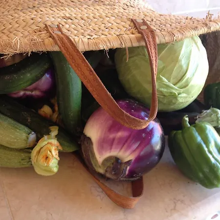 Tenuta San Savino Delle Rocchette Poggiolo