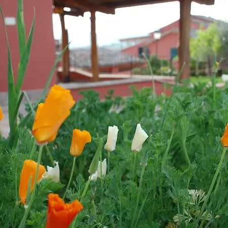 Tenuta San Savino Delle Rocchette