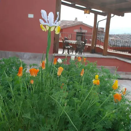 Gospodarstwo agroturystyczne Tenuta San Savino Delle Rocchette *