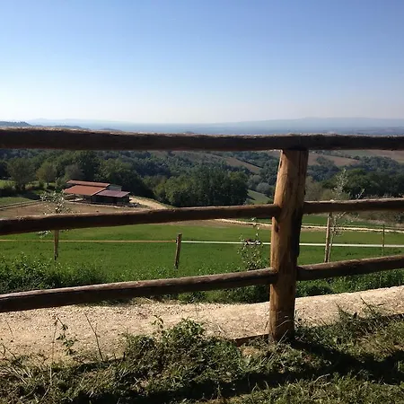 Agroturismo Tenuta San Savino Delle Rocchette Poggiolo