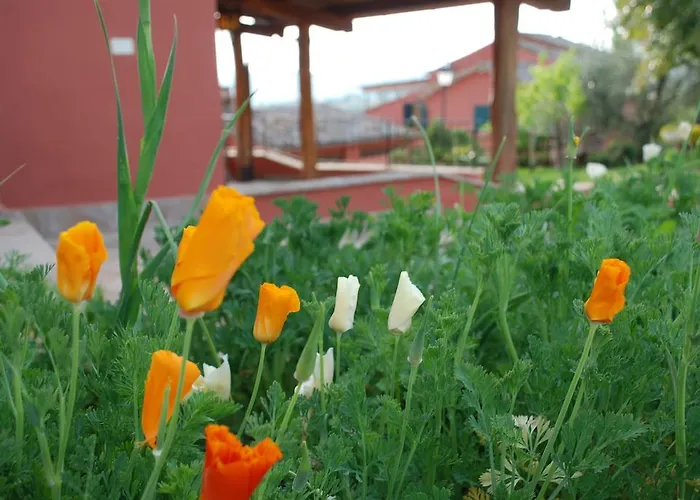 Tenuta San Savino Delle Rocchette