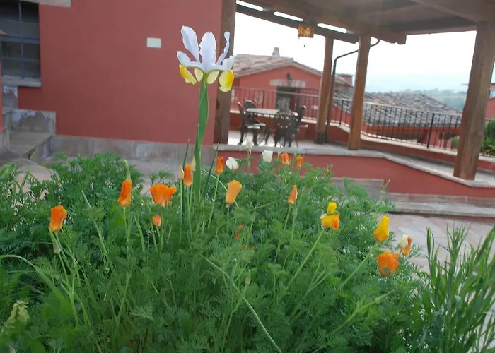 팜스테이 Tenuta San Savino Delle Rocchette *